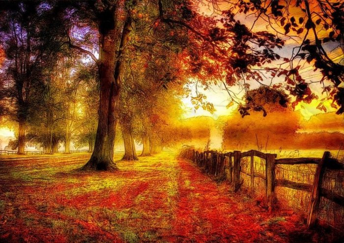 Autumn Season Outdoor Running Walking Path Tree 